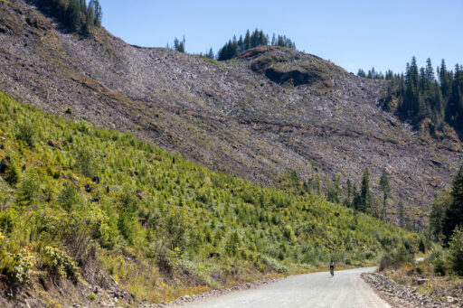 Alberni Bam Bam bikepacking route, Vancouver Island