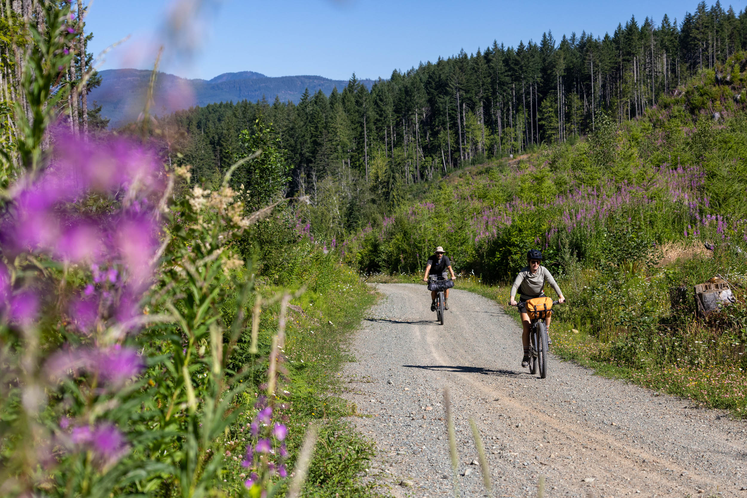 Alberni Bam Bam bikepacking route, Vancouver Island