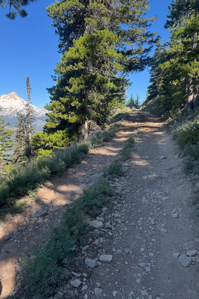 andrew strempke wins 2025 Oregon Timber Trail