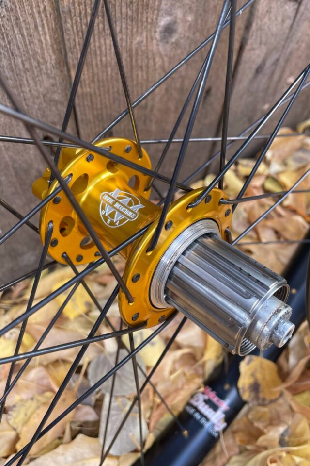 Bike Camp Co-op Finds July 24th