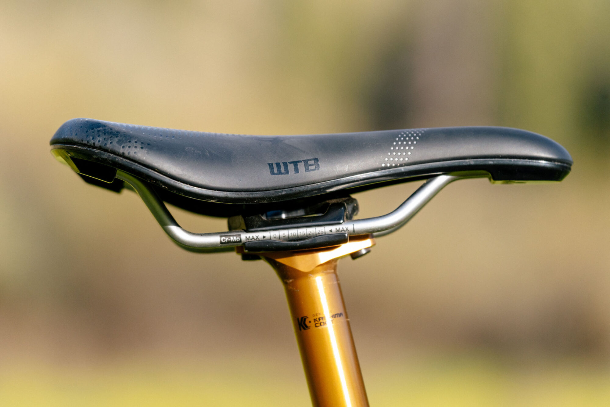 WTB Solano SL Saddle
