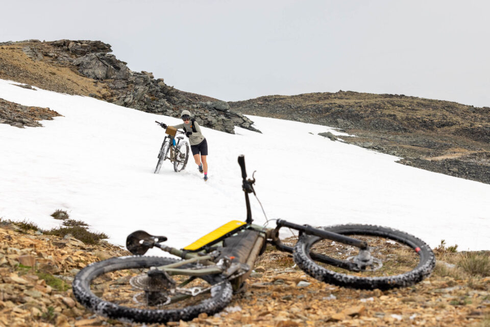 Rogue Panda Catalina full length top tube bag review