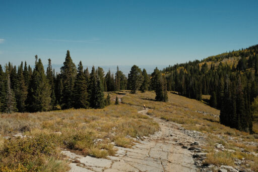 Bear Lake Shakedown Bikepacking Rote