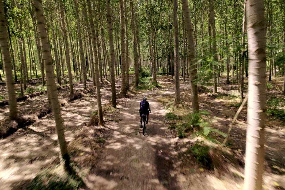 Cycling Through Catalonia