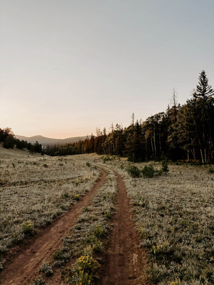 2025 Colorado Trail Race