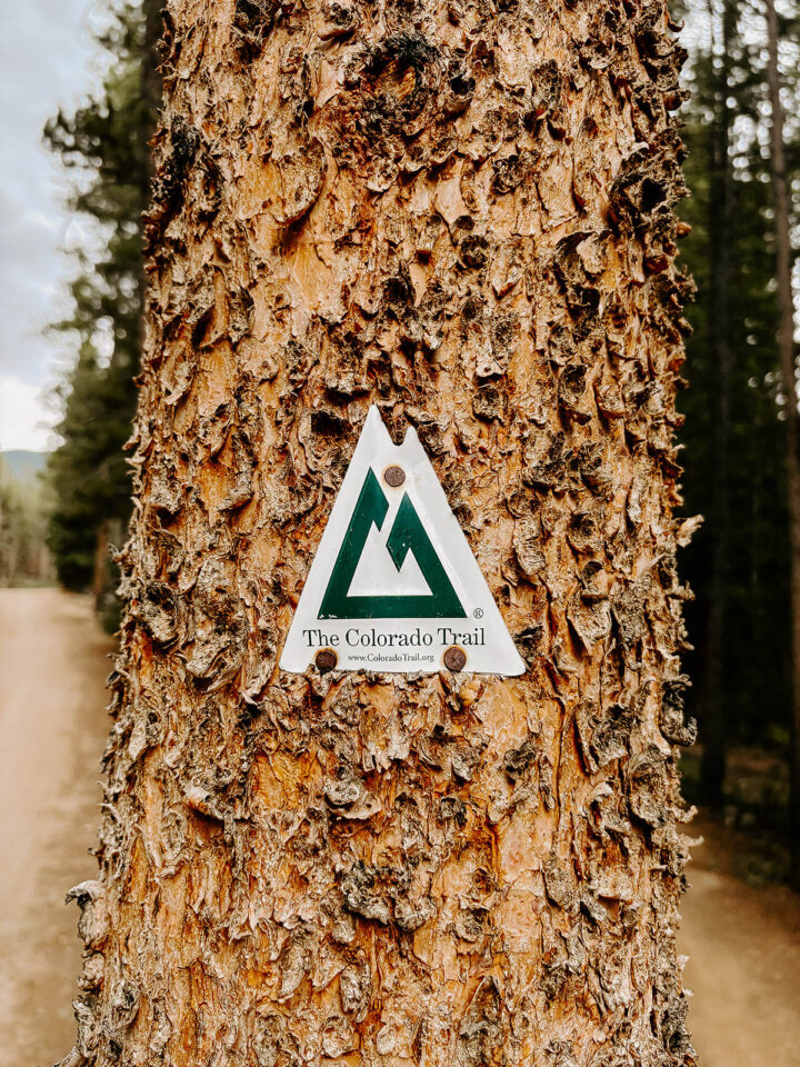 2025 Colorado Trail Race