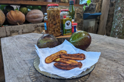 Mata Atlantica Bike Route S1