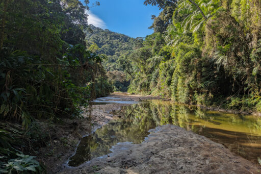 Mata Atlantica Bike Route S1