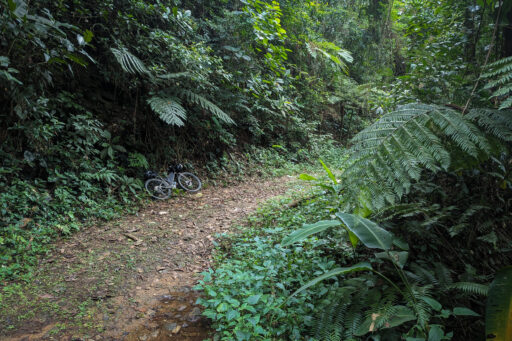 Mata Atlantica Bike Route S1