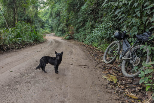 Mata Atlantica Bike Route S2, Bocaina