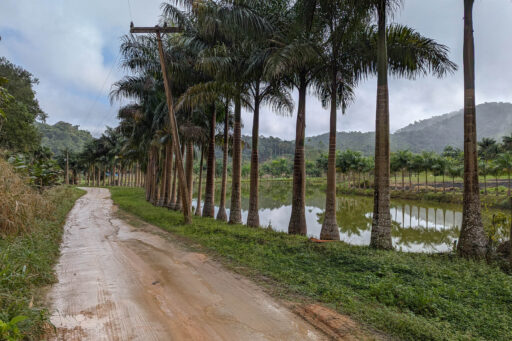 Mata Atlantica Bike Route S3