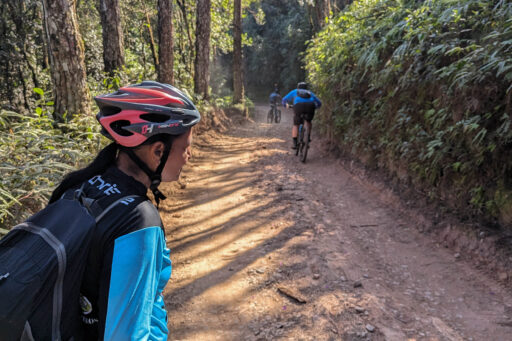 Mata Atlantica Bike Route S3