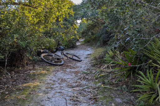 Mata Atlantica Bike Route S3