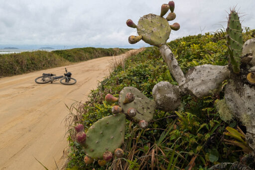 Mata Atlantica Bike Route S3
