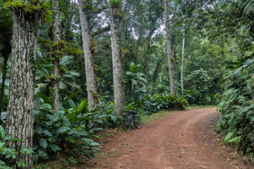 Mata Atlantica Bike Route S4