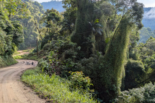 Mata Atlantica Bike Route S4