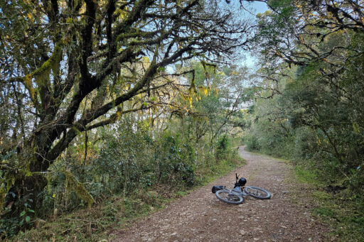 Mata Atlantica Bike Route S4