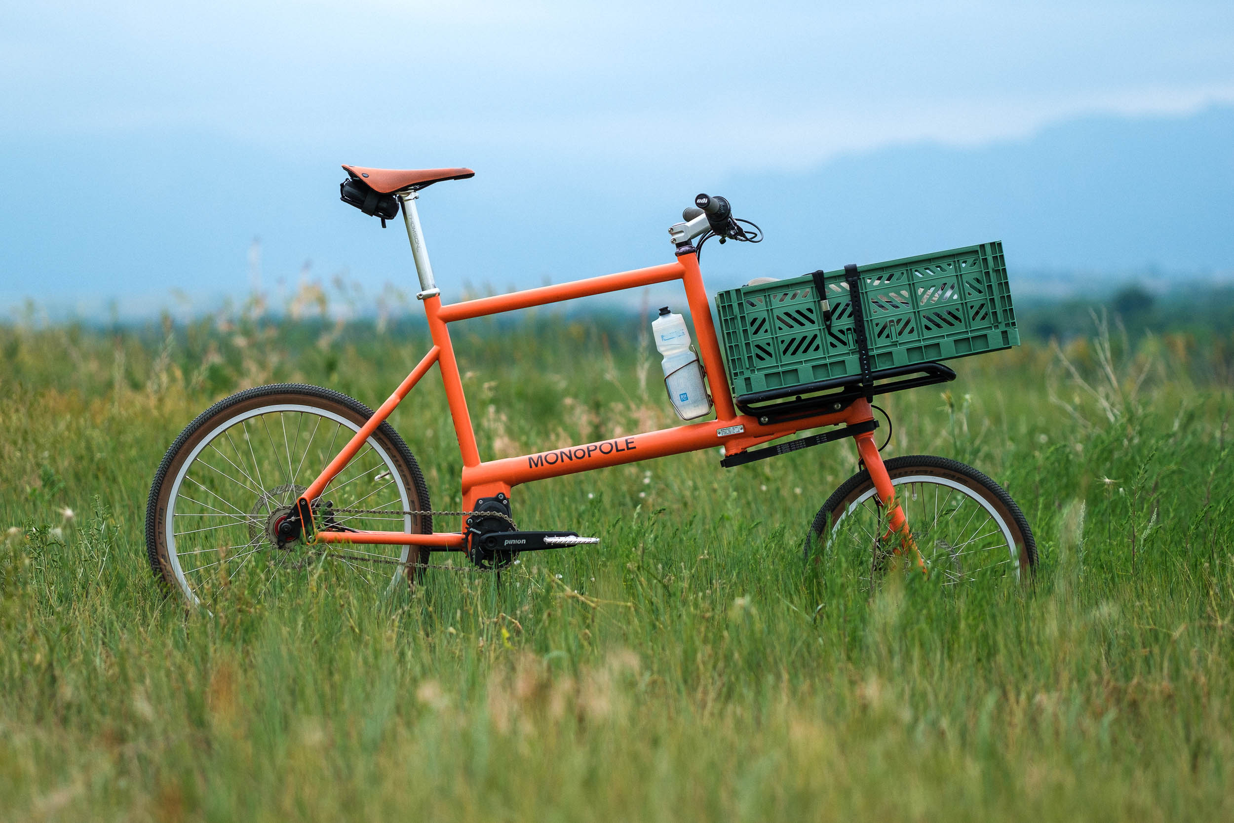 Monopole Cargo Bike Review