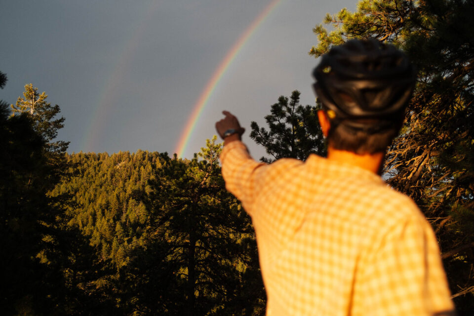 Monopole Cargo Bike Review