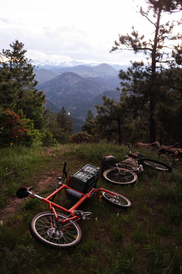 Monopole Cargo Bike Review