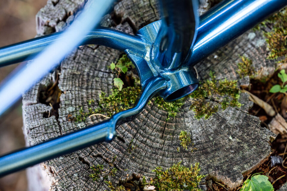 Neuhaus Hummingbird Review