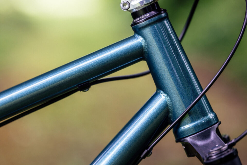 Neuhaus Hummingbird Review