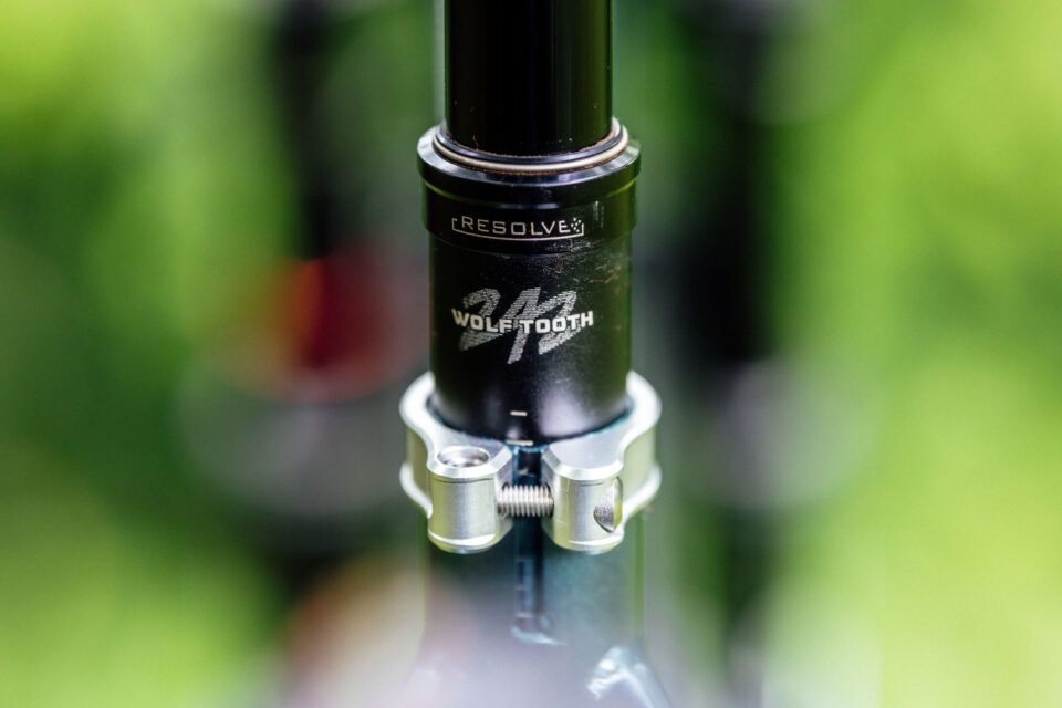 Neuhaus Hummingbird Review