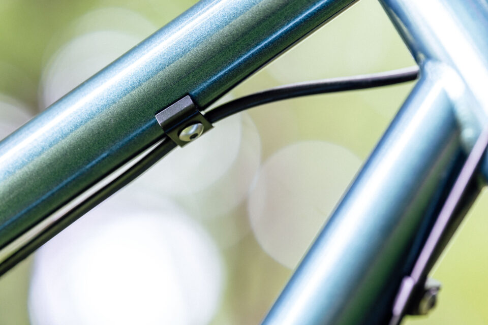 Neuhaus Hummingbird Review