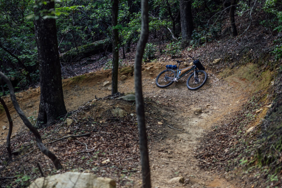 Neuhaus Hummingbird Review