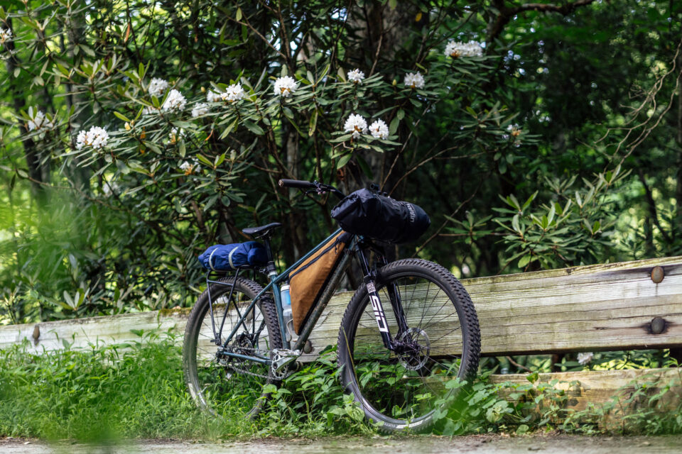 Neuhaus Hummingbird Review