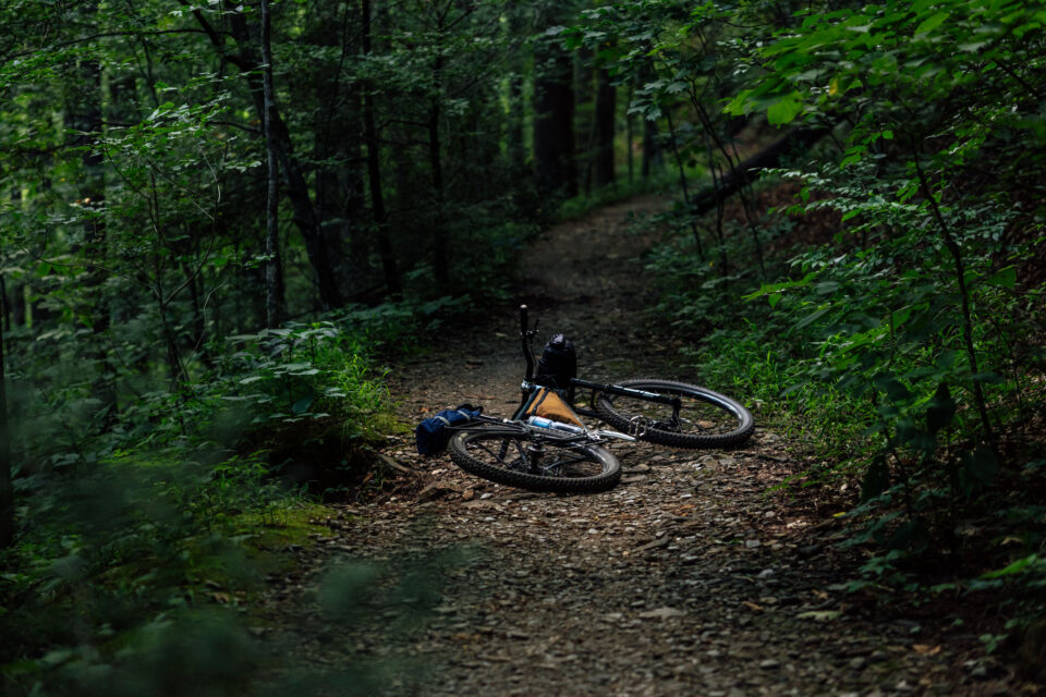 Neuhaus Hummingbird Review