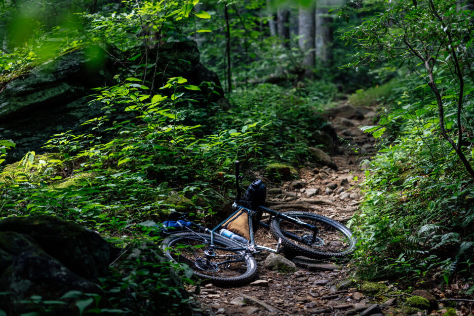 Neuhaus Hummingbird Review