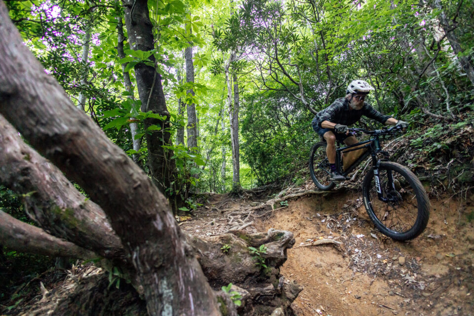 Neuhaus Hummingbird Review