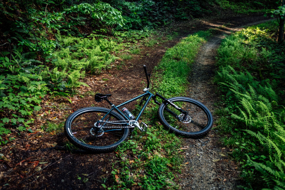 Neuhaus Hummingbird Review