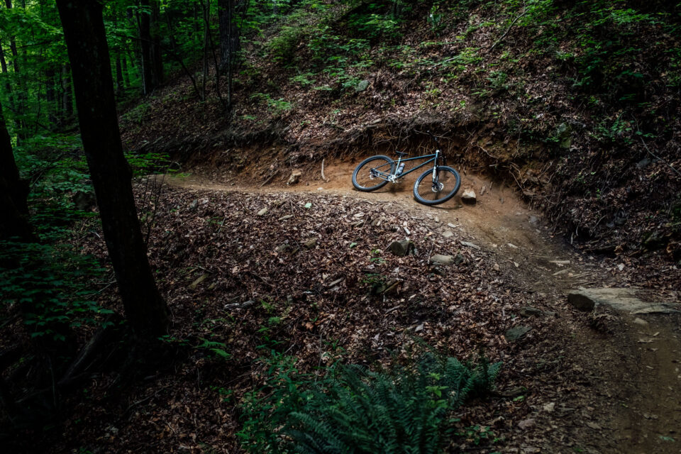 Neuhaus Hummingbird Review