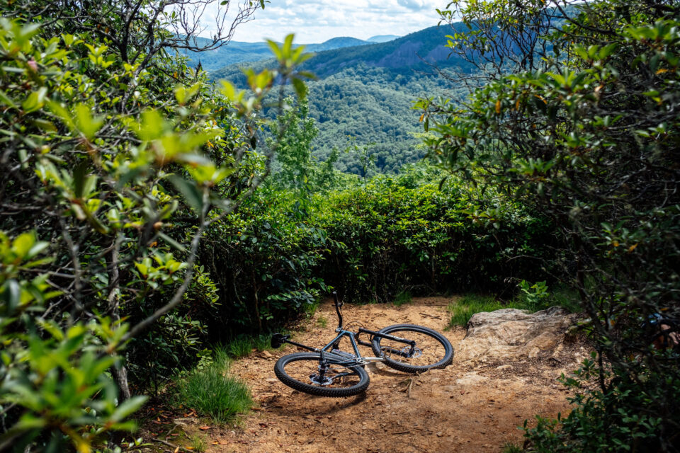 Neuhaus Hummingbird Review