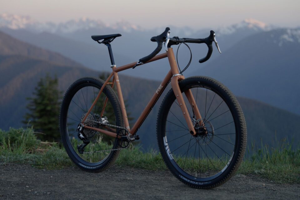 The Pine FRST has Removable Dropouts