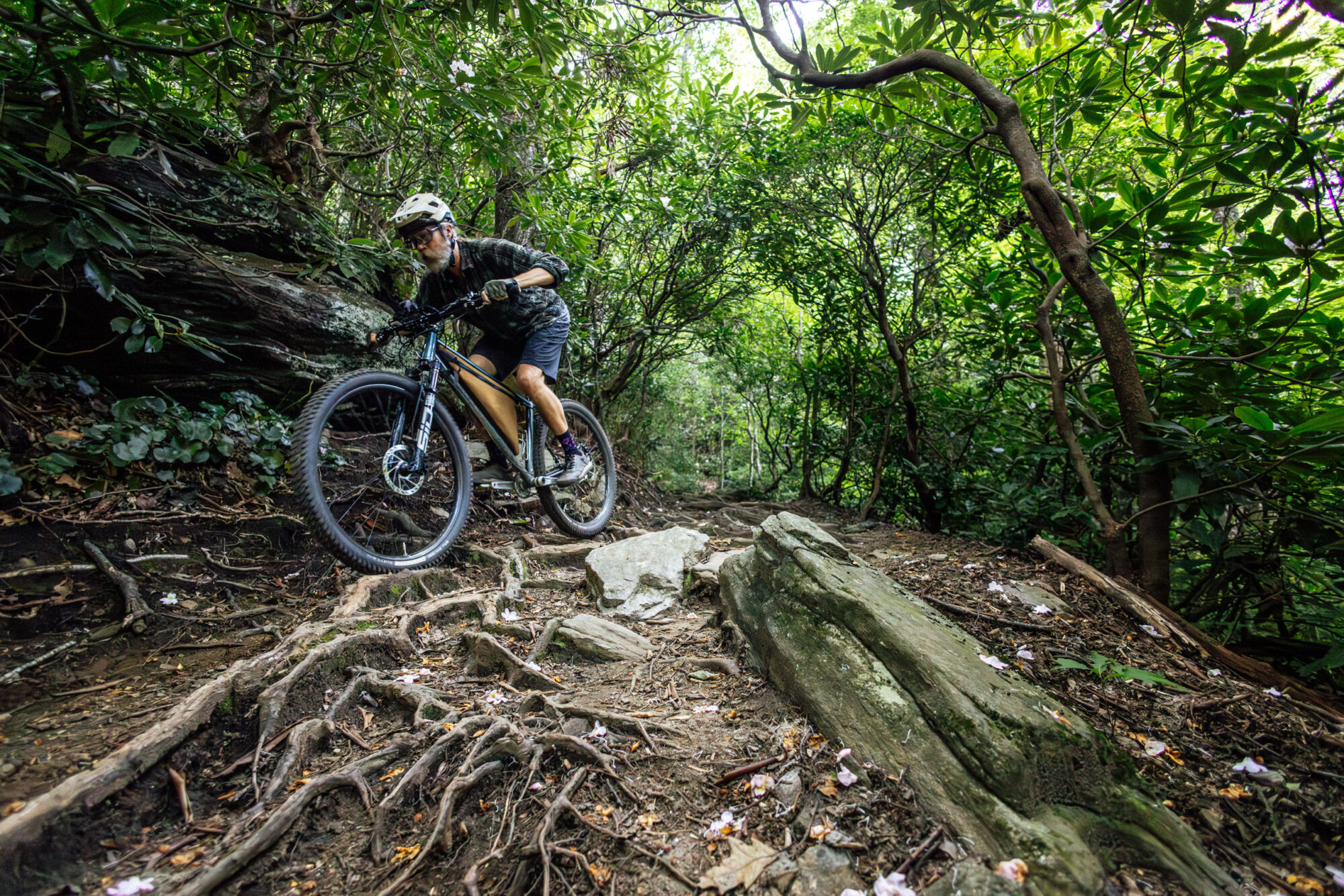 Teravail Clifty Review