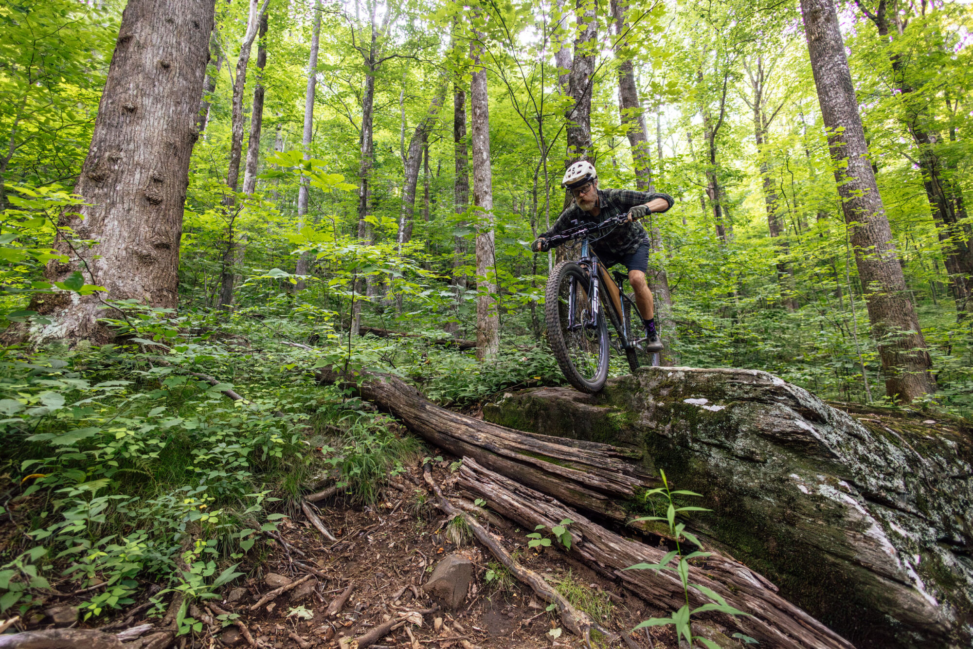 Teravail Clifty Review