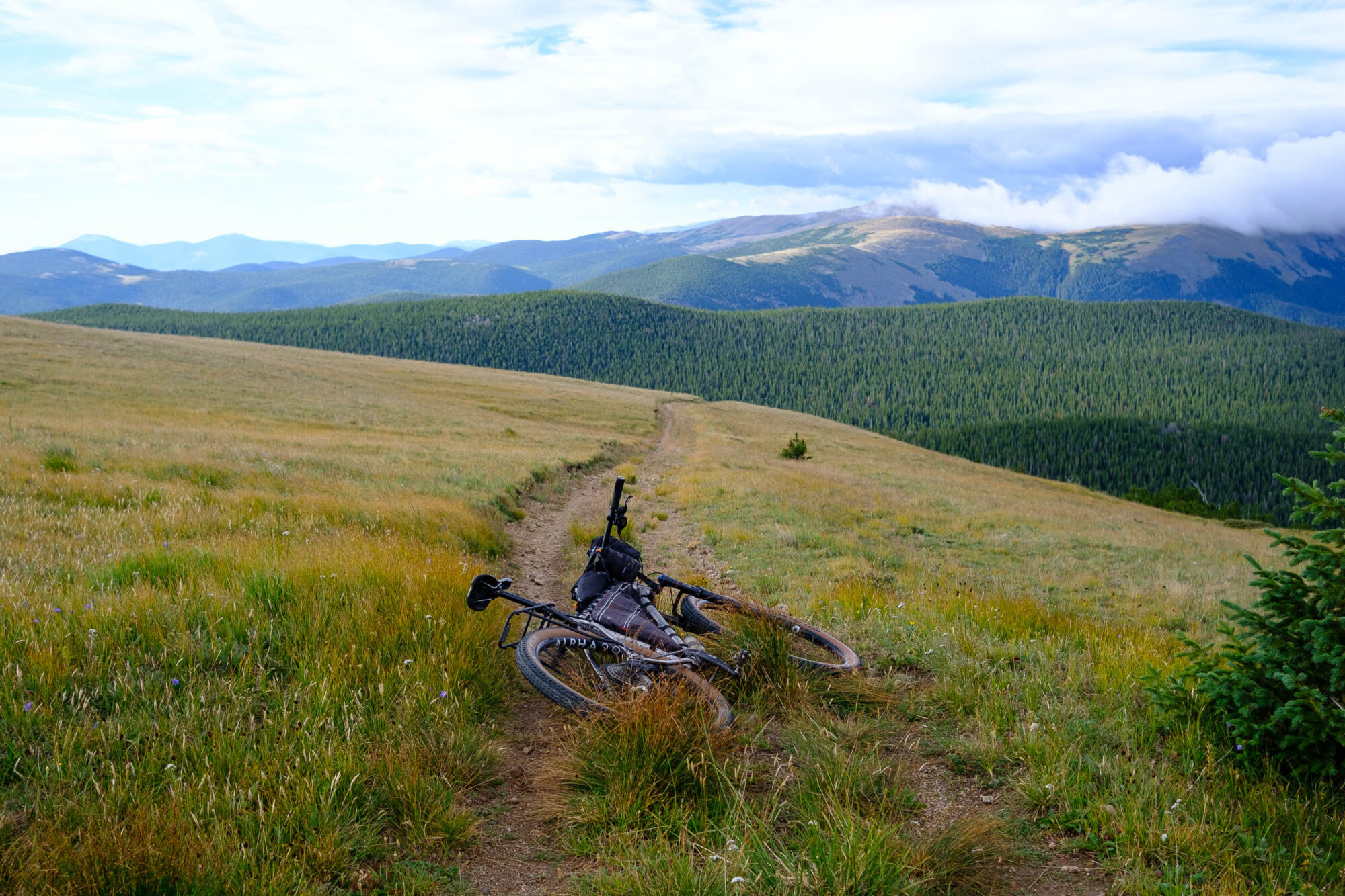 The Beauty of Not Pedaling