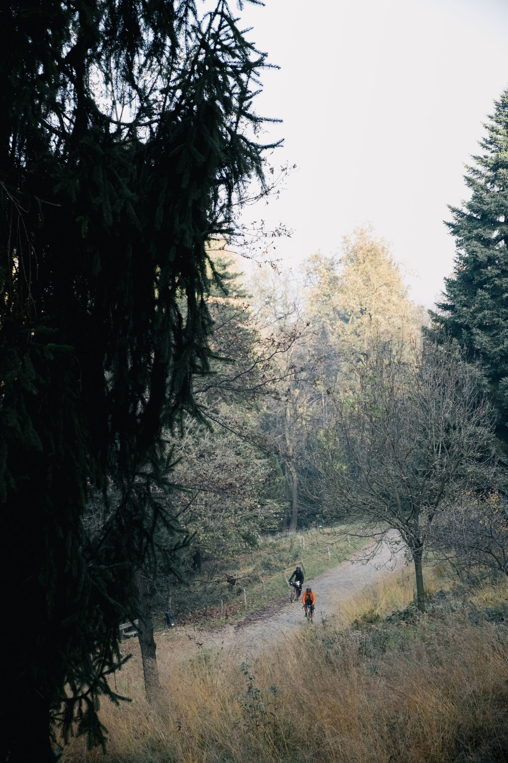 Turin Hills Loop - BIKEPACKING.com, image size:1667x2500