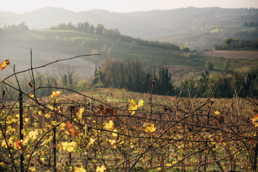 Turin Hills Loop Bikepacking Route