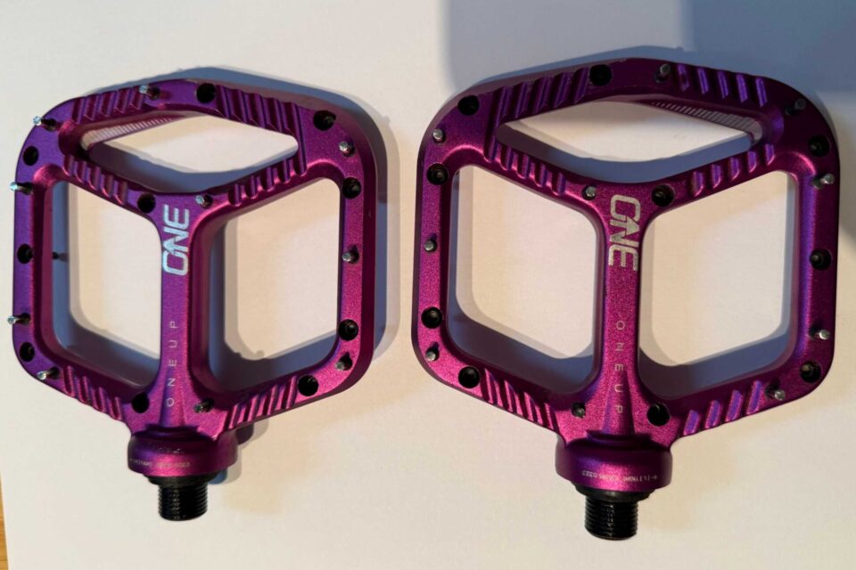 Bike Camp Co-op Finds (August 6th, 2025)