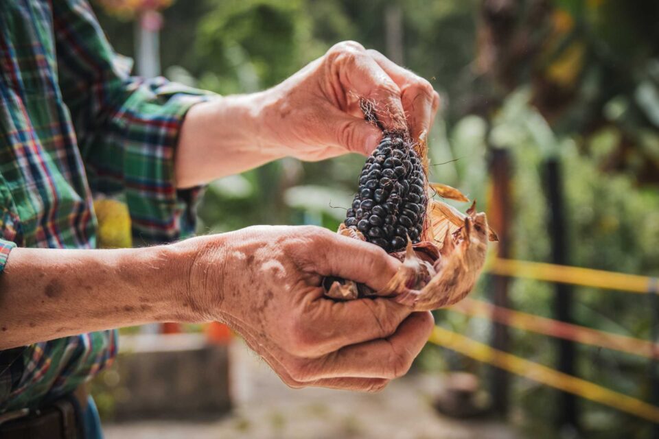 Bikepacking Colombia’s Coffee Highlands