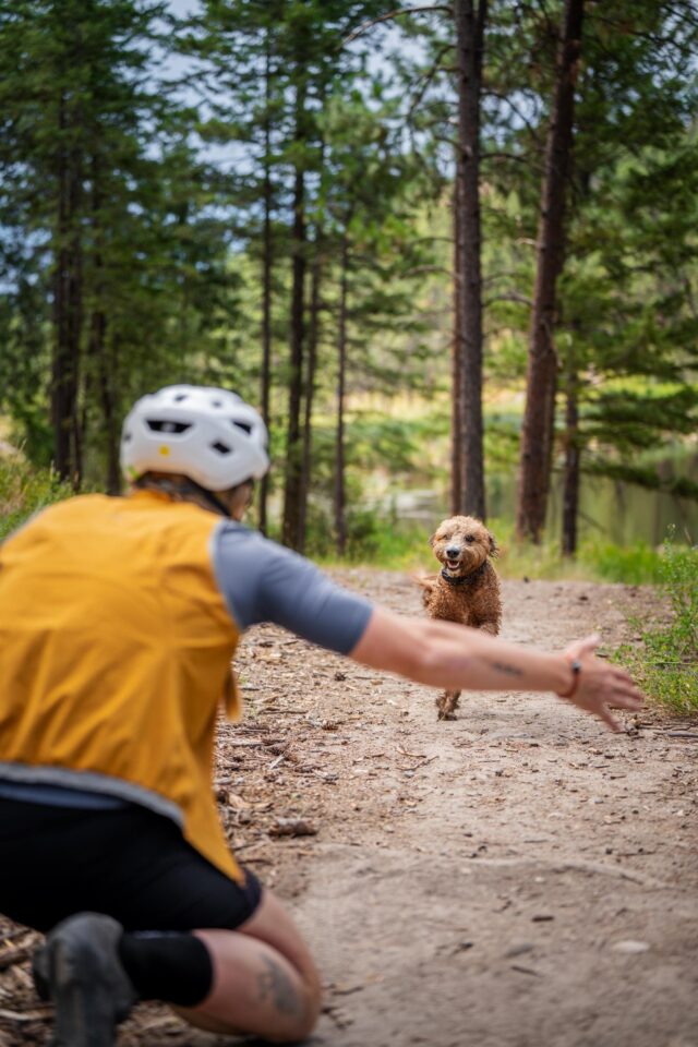 Meaghan Hackinen's Silk Road Mountain Race Rig