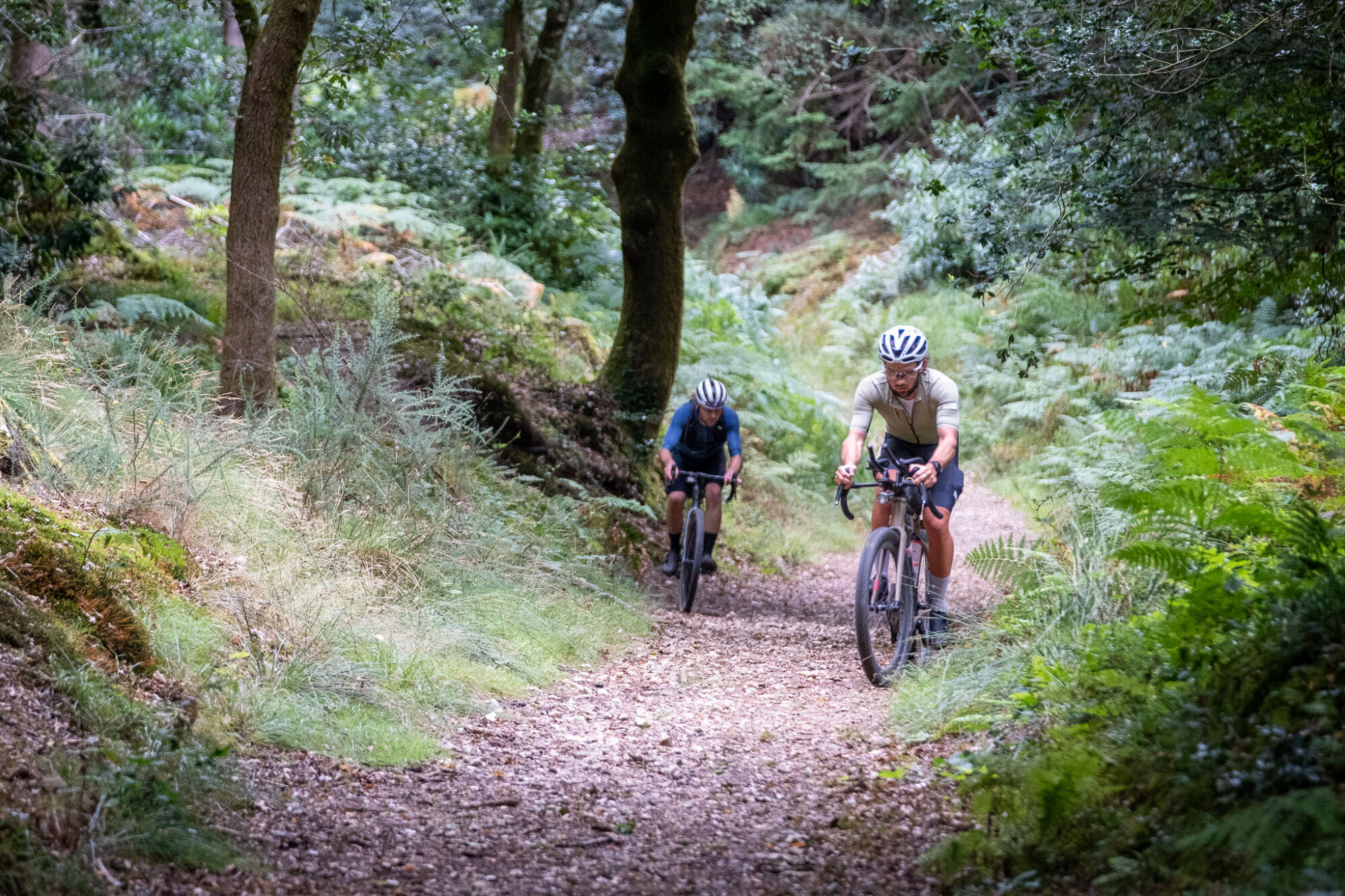 2025 Dorset Divide Recap