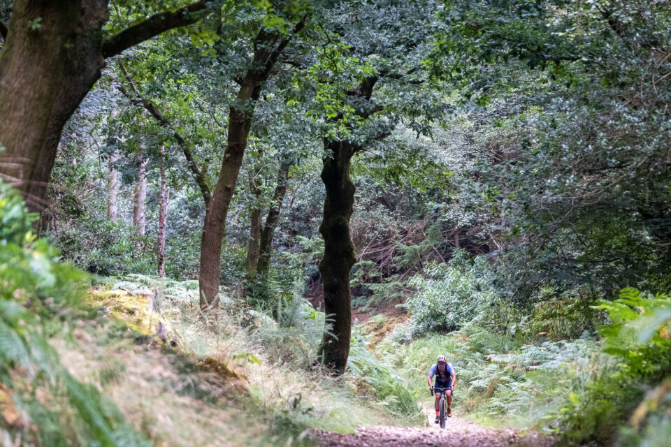 2025 Dorset Divide Recap