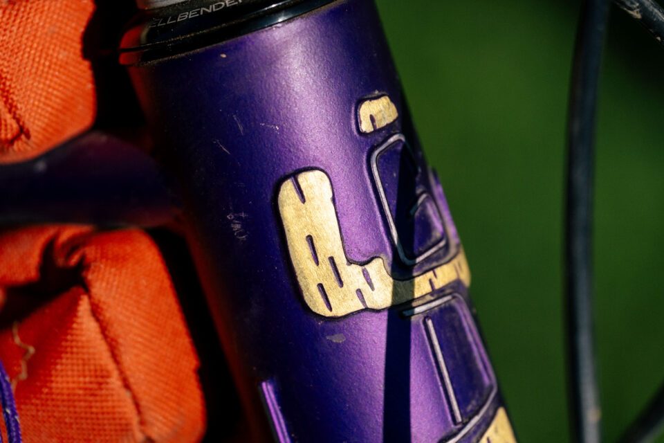 Goodday Curiosity Gila Monster, Custom Bikepacking Bike