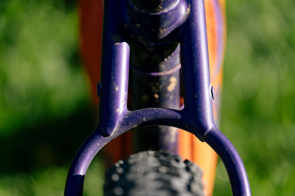 Goodday Curiosity Gila Monster, Custom Bikepacking Bike