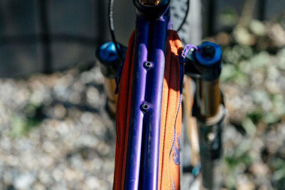 Goodday Curiosity Gila Monster, Custom Bikepacking Bike